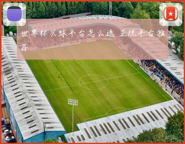 世界杯买球平台怎么选 正规平台推荐