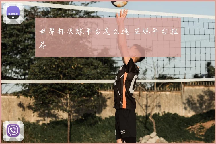 世界杯买球平台怎么选 正规平台推荐
