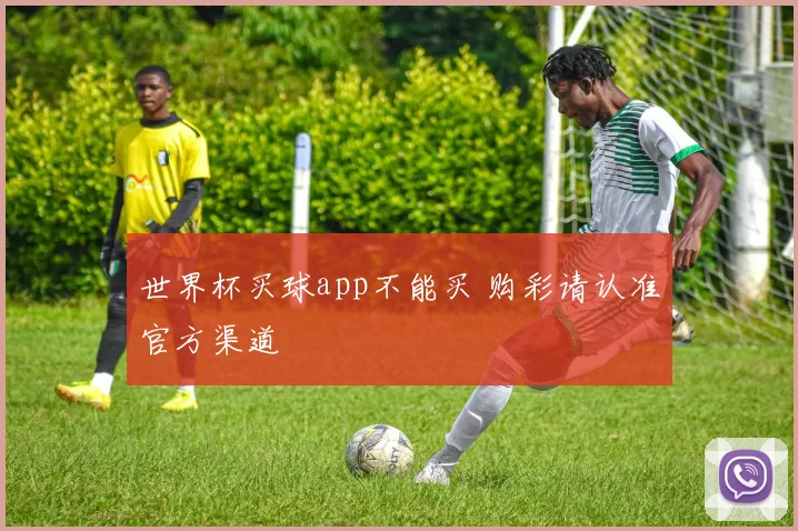 世界杯买球app不能买 购彩请认准官方渠道