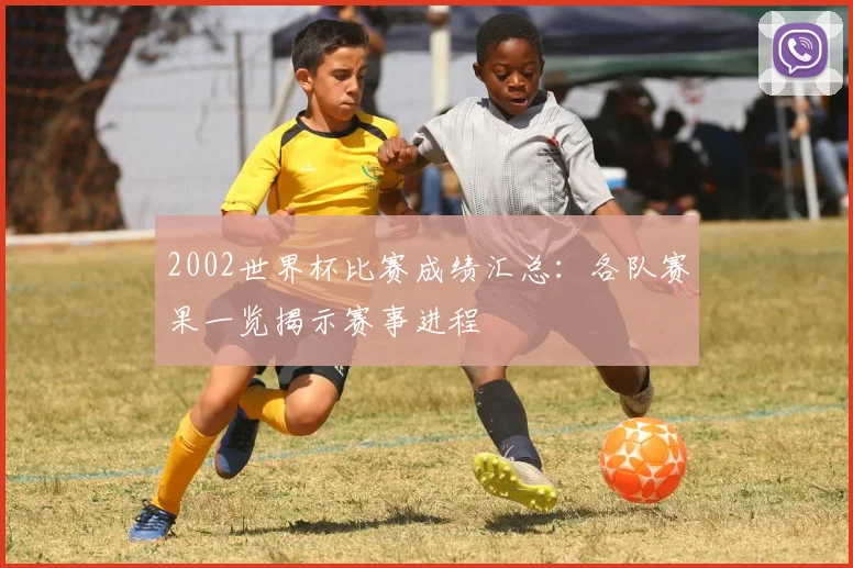 2002世界杯比赛成绩汇总：各队赛果一览揭示赛事进程