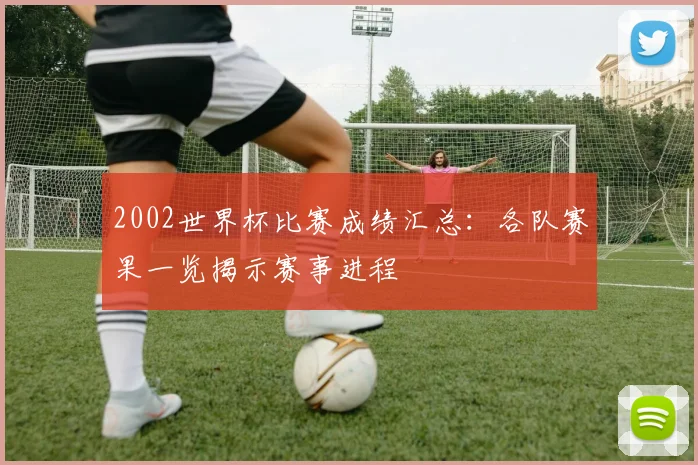 2002世界杯比赛成绩汇总：各队赛果一览揭示赛事进程